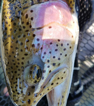 Booking Information and&nbsp;Rates